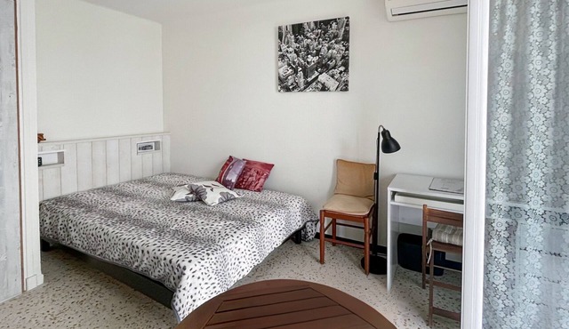 Comfortable and spacious studio in Cannes