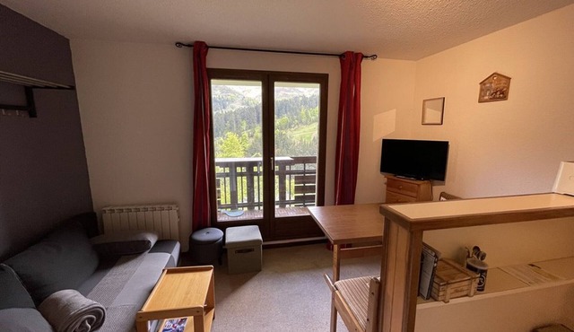 Cozy cabin studio at the slopes, pets allowed in Le Lioran