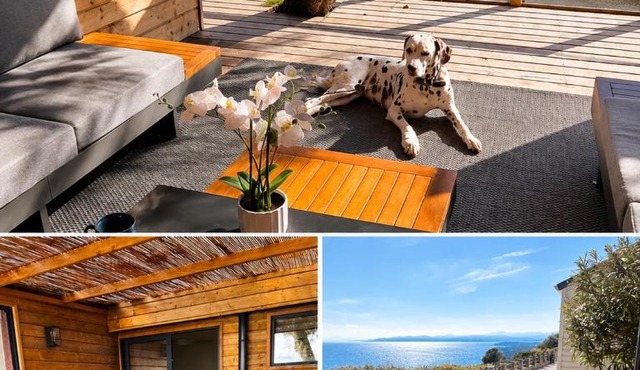 Fantastic new lodge with ocean view