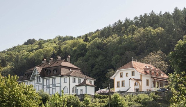 Flat "Chateau-Studio Bleu in Marnand