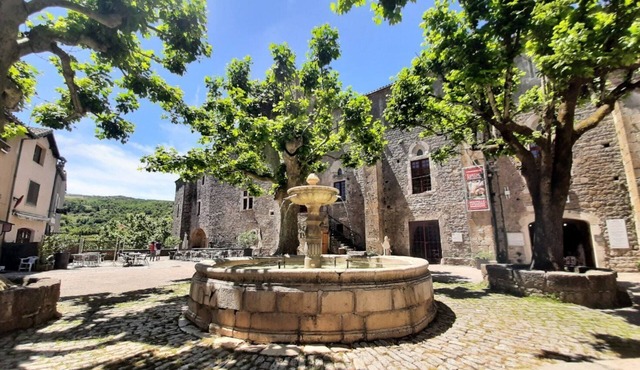 Gîte 6 to 8 pers - L'oustal de Geniez - Sainte Eulalie de Cernon - Larzac/Aveyron