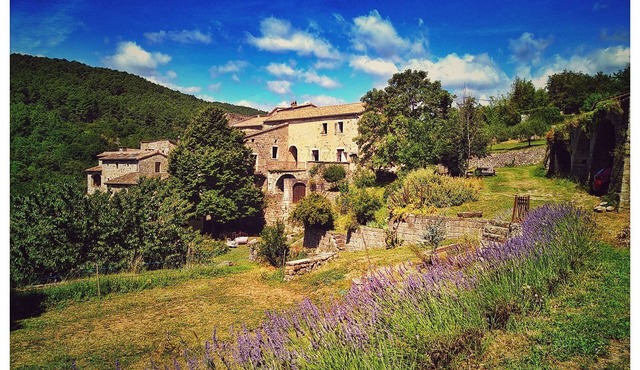 "Hélianthy" Gîte 10 pers. with swimming pool in a green setting in southern Ardèche