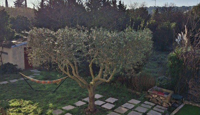House close to the historic center, able to accommodate 6 adults in comfort,