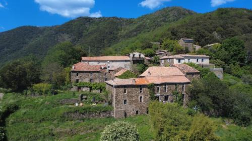 Le Châtaignier in Valleraugue