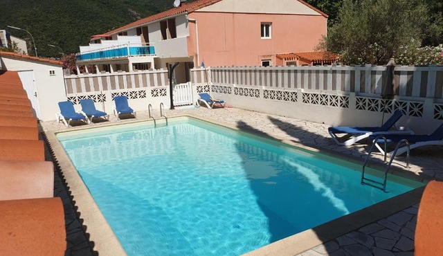 Le lion d'or dans le 66 in Amélie-les-Bains-Palalda