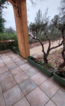Les Cigales