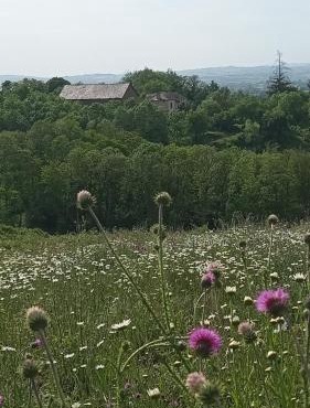 Les Gîtes de Roucayrols in Pampelonne