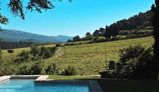 Lodge in the heart of a vineyard in Provence – Cassis and the sea are less than 10 minutes away