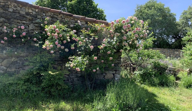 Mas en Provence Entièrement Rénové Pour des Vacances Familiales de Rêve
