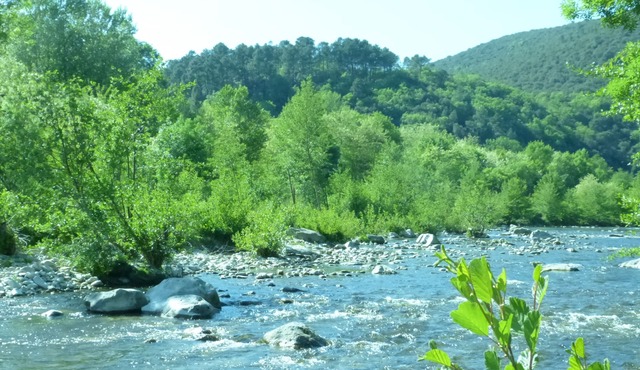Mimosa on a hillside, gite 4/6 pers, 2 suites in Thoiras