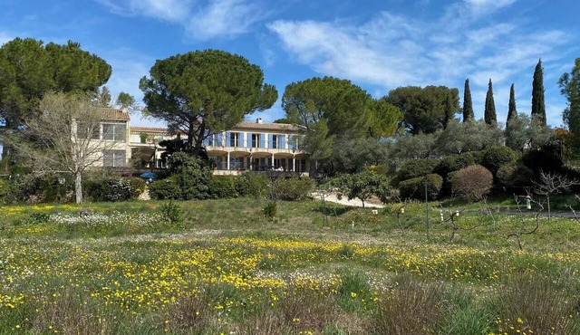 Olivade: From the Countryside to the City