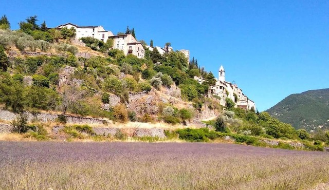 Provence ventoux sault