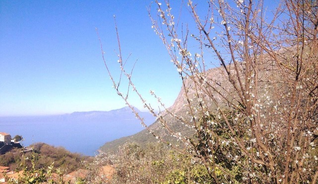 Reginelena B&B in Maratea