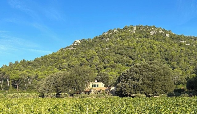 Rent house in the middle of the vineyards in Provence Verte