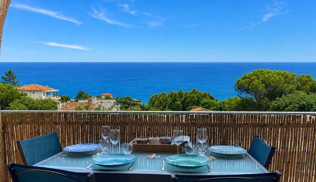SOUTH very nice T2 duplex splendid sea view 2 min walk from the beach WIFI air conditioning