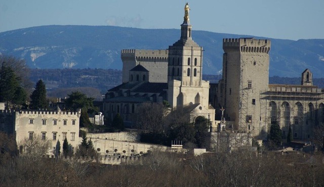 Spacious house of character with pool and views of the Palace of the Popes.