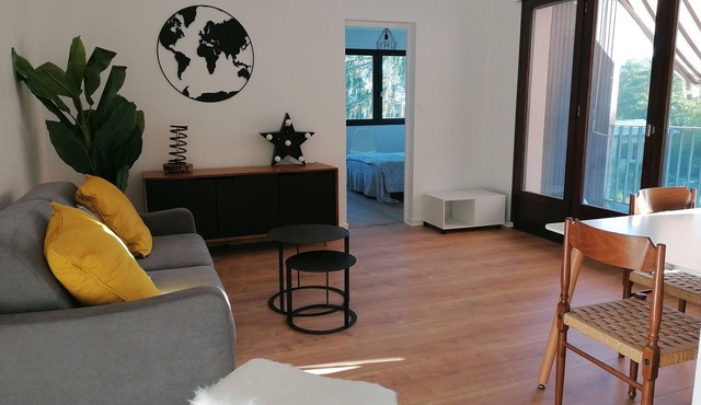 Spacious apartment Embrun