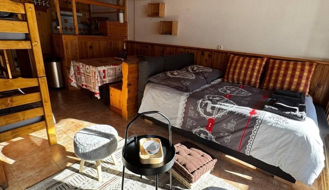 Studio 350m from the slopes