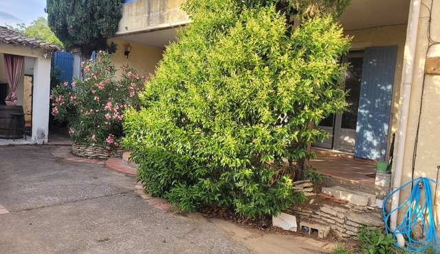 Summer rental Avignon festival House 100m2. Perfect for relaxing.