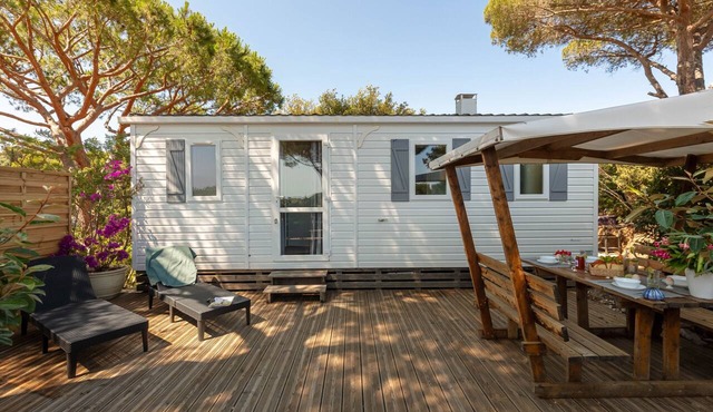 The Arbousier, cosy mobile home with sea view