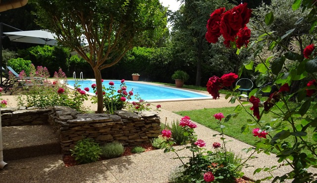 The Blue Tit - private swimming pool