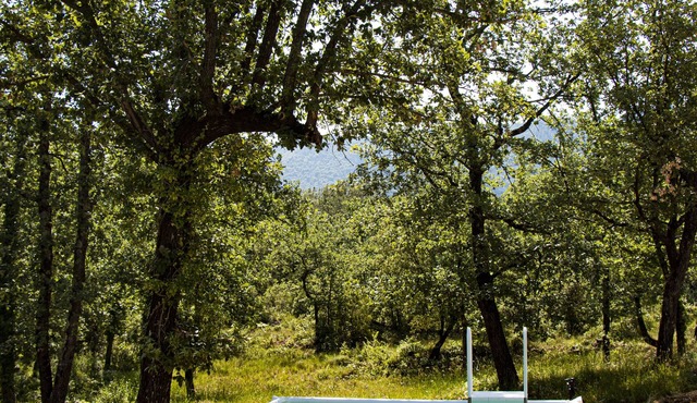 The villa Cinsault, unspoiled jewel from typical Provence with 3 lovely bedrooms