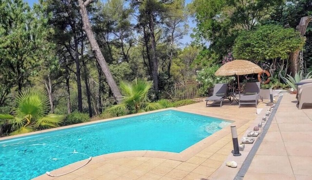 Villa in a pine grove near Cassis