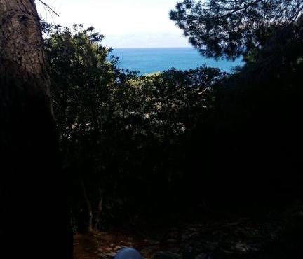 villa punta pispisa in Scopello