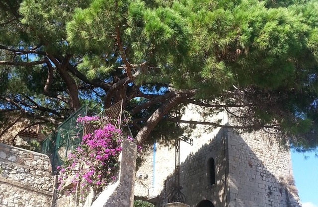 Cozy studio Cannes center, "Le Suquet", air conditioning, secure parking nearby!
