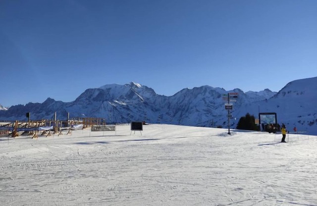 Fleurs Des Alpes 