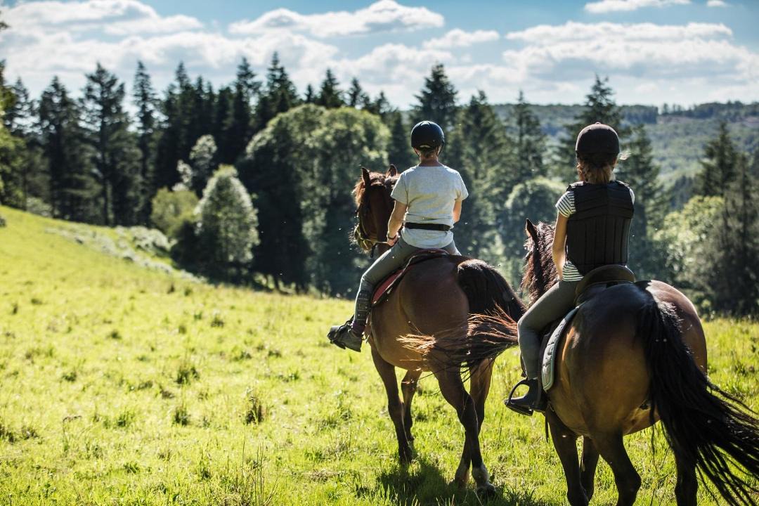 Cambounes House | Les Ecuries de la Sabatarié