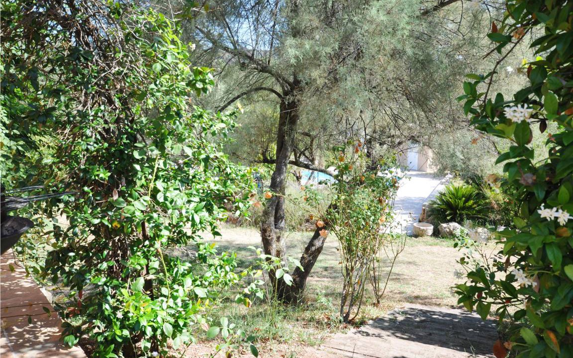Photo of Others in Puget-sur-Argens