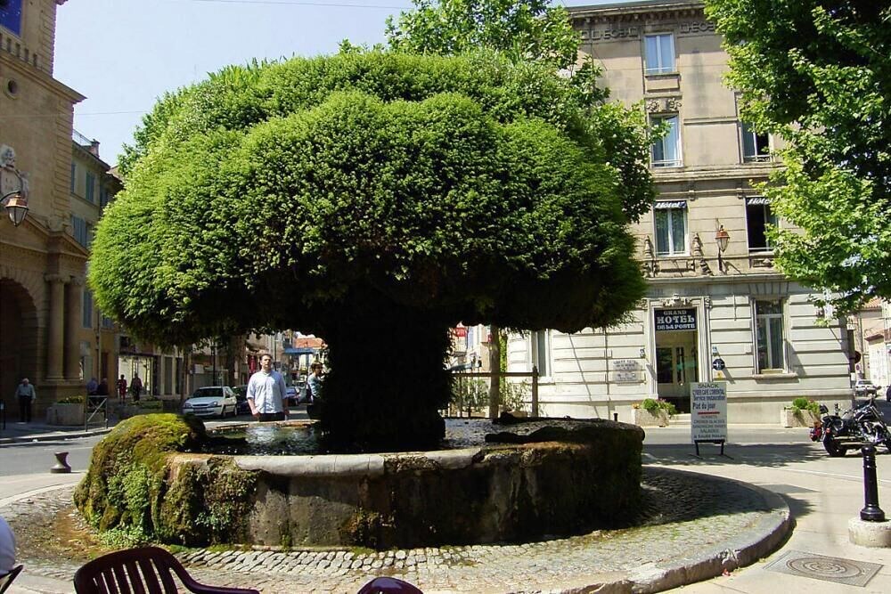 Photo of Others in Salon-de-Provence