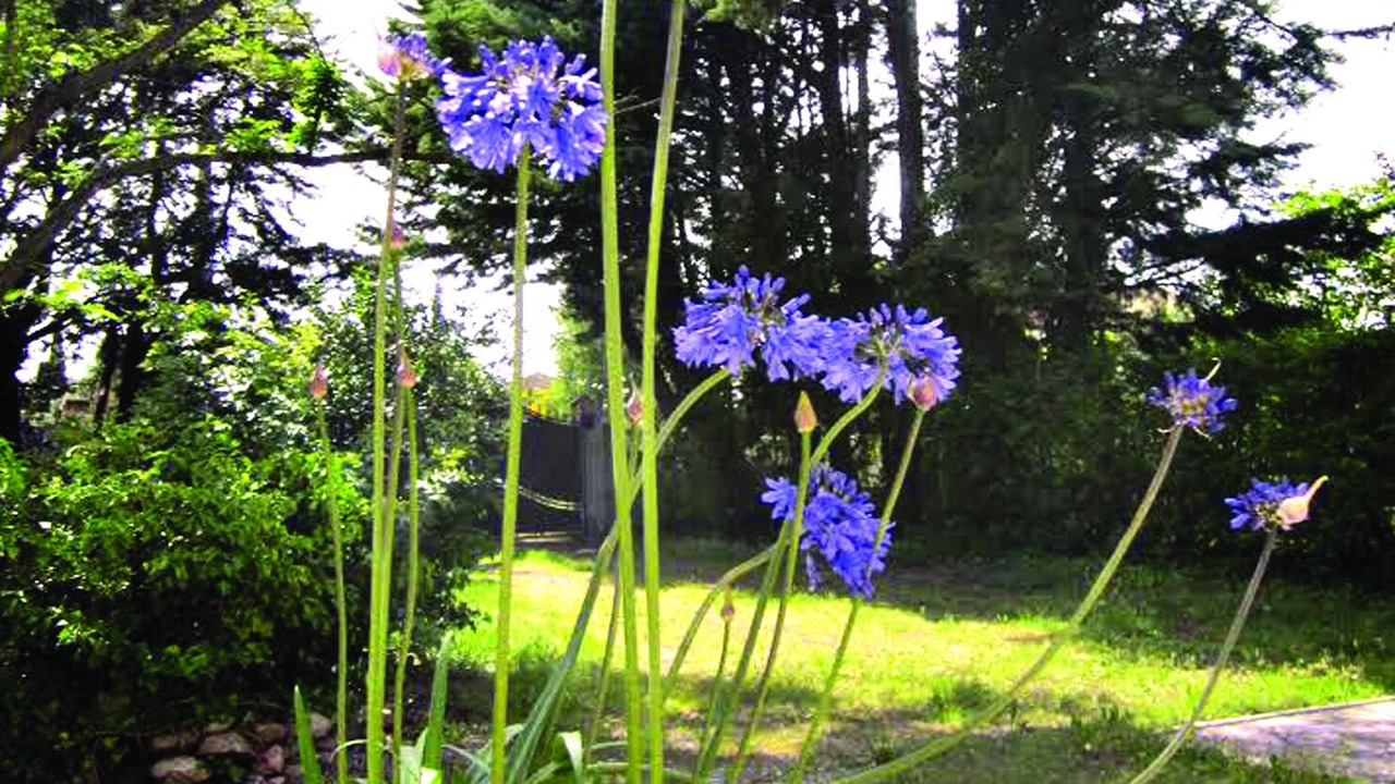 Photo of Outdoor in Robion