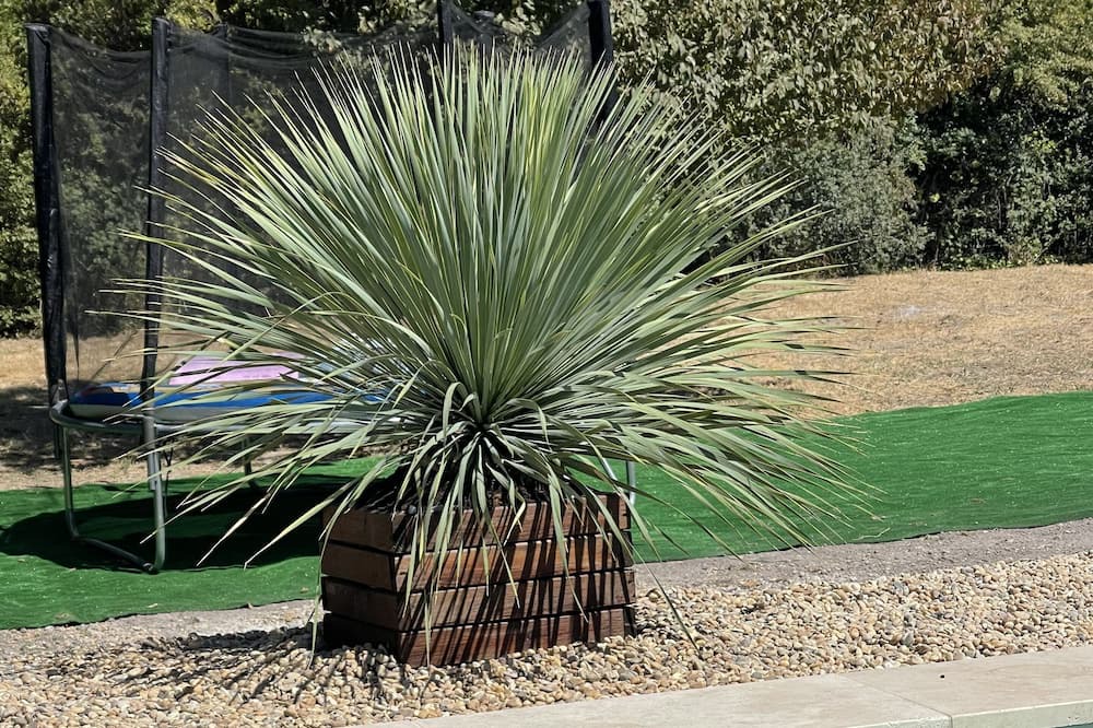 Photo of Outdoor in Le Thor