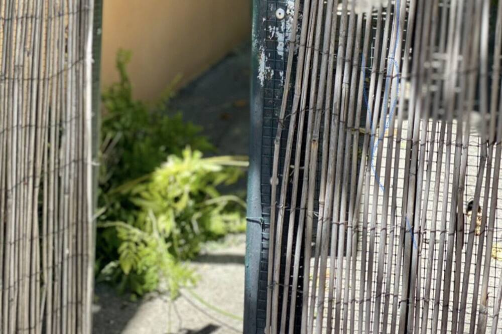 Photo of Outdoor in Saint-Marc-Jaumegarde