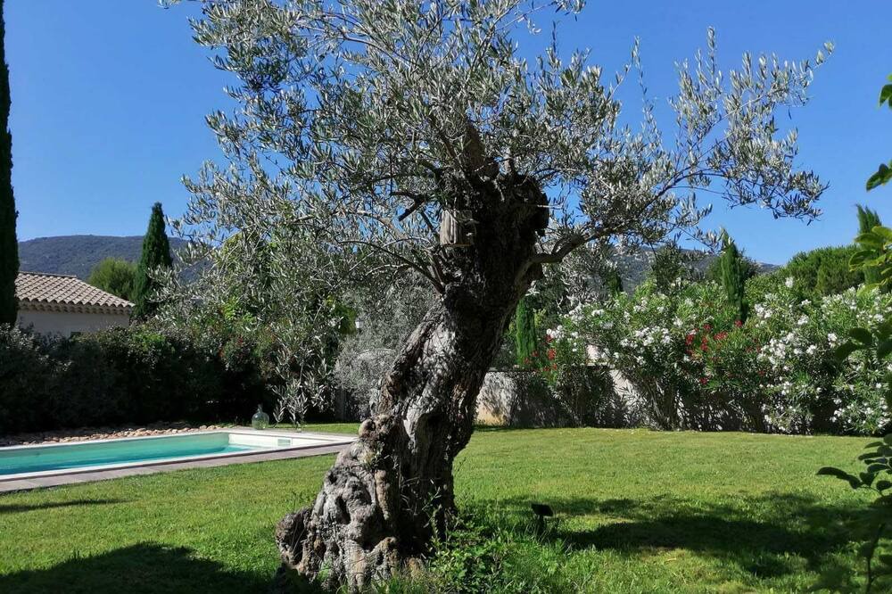 Photo of Outdoor in Maubec