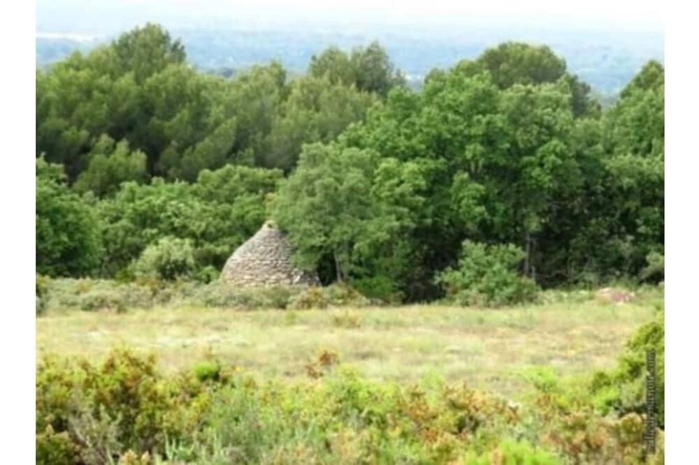 Photo of Others in Saint-Cannat