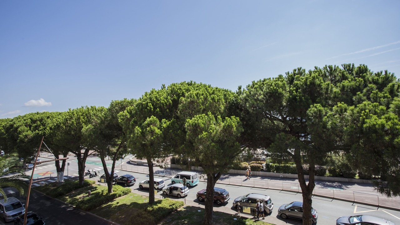 Photo of Outdoor in Mandelieu-la-Napoule Beach