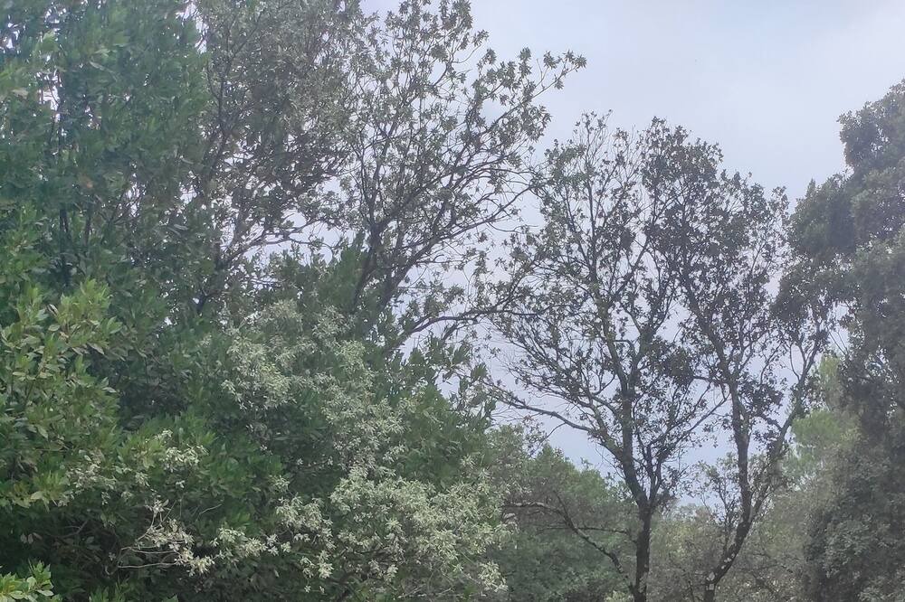 Photo of Outdoor in Uchaux