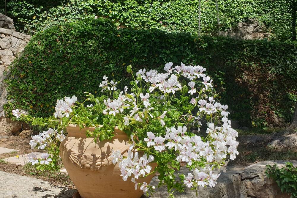 Photo of Outdoor in Speracedes