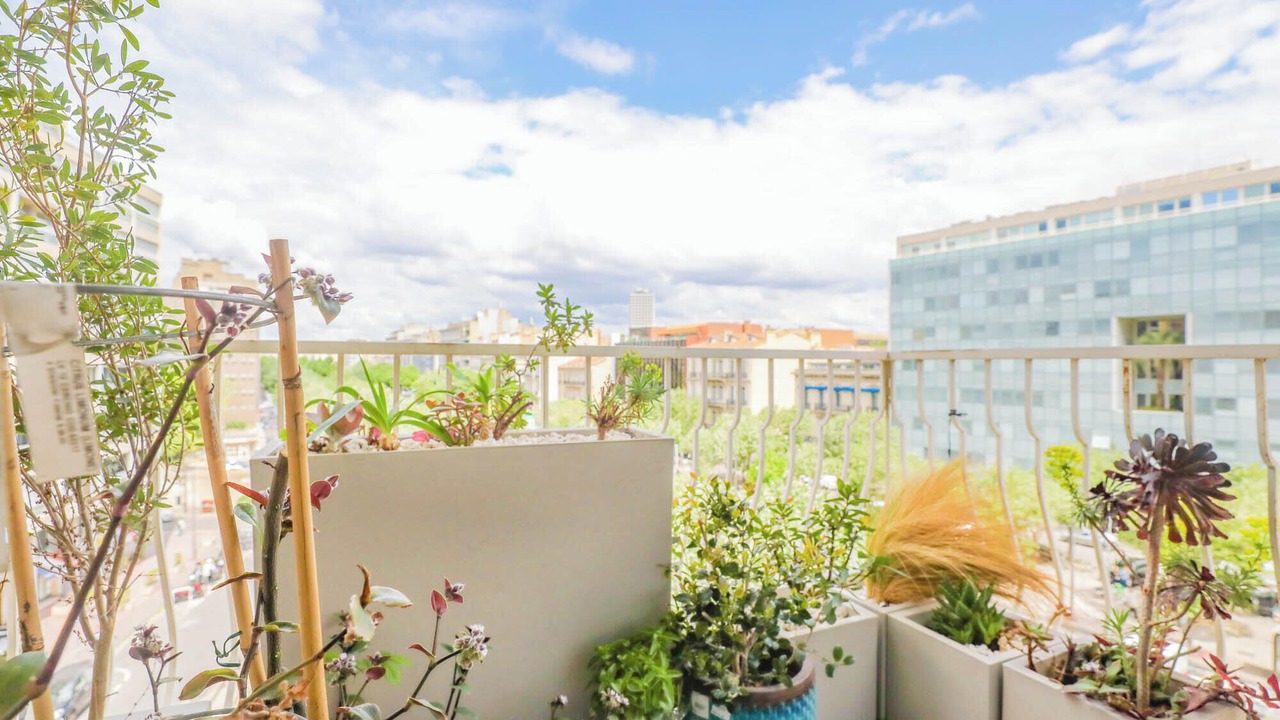 Photo of Outdoor in Le Rouet