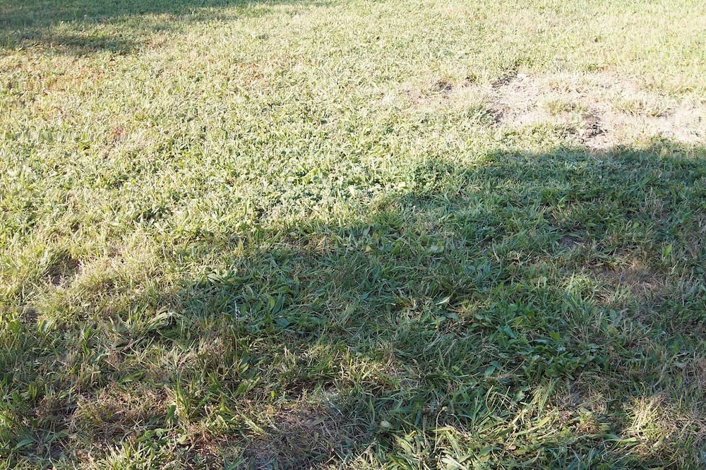 Photo of Outdoor in Maillane