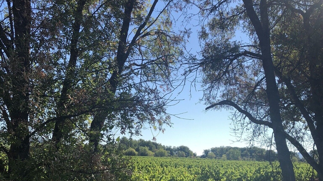 Photo of Outdoor in La Roquebrussanne