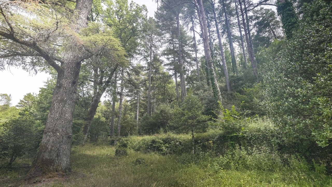 Photo of Outdoor in Meounes-les-Montrieux
