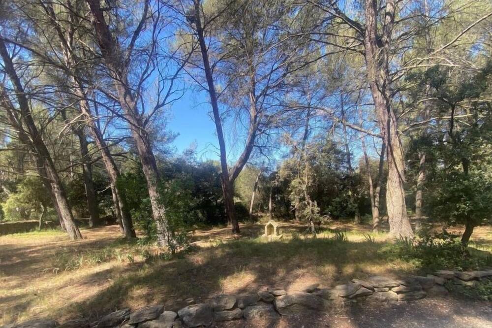 Photo of Outdoor in Grans