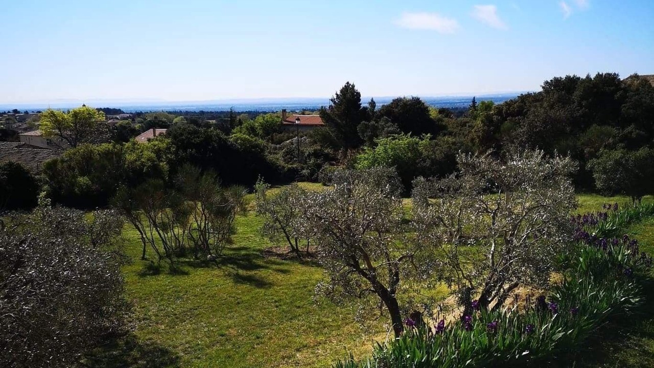 Photo of Outdoor in Aureille