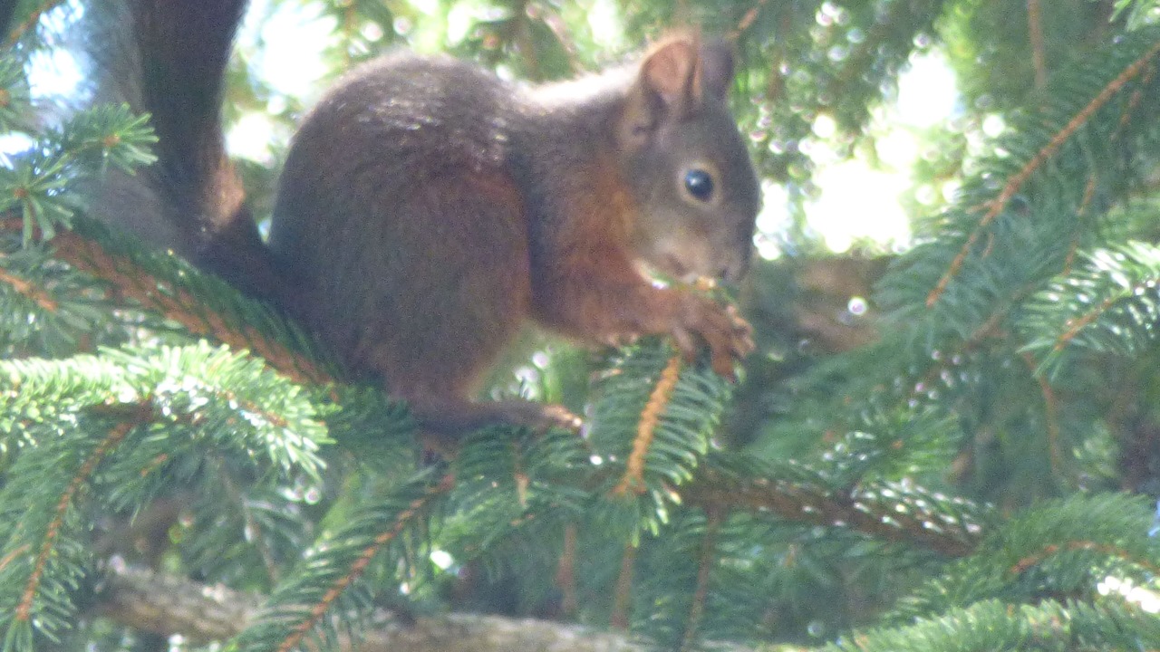 Photo of Outdoor in Saint-Bonnet-en-Champsaur