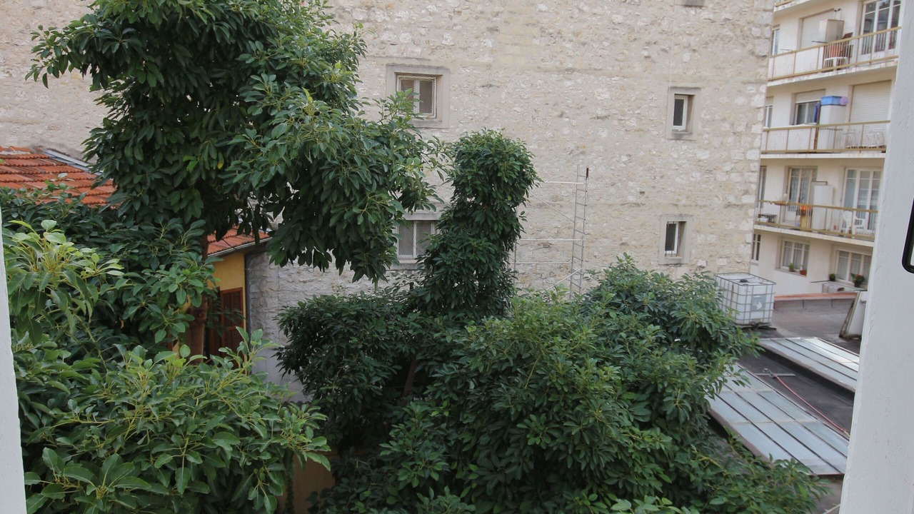 Photo of Outdoor in Vernier