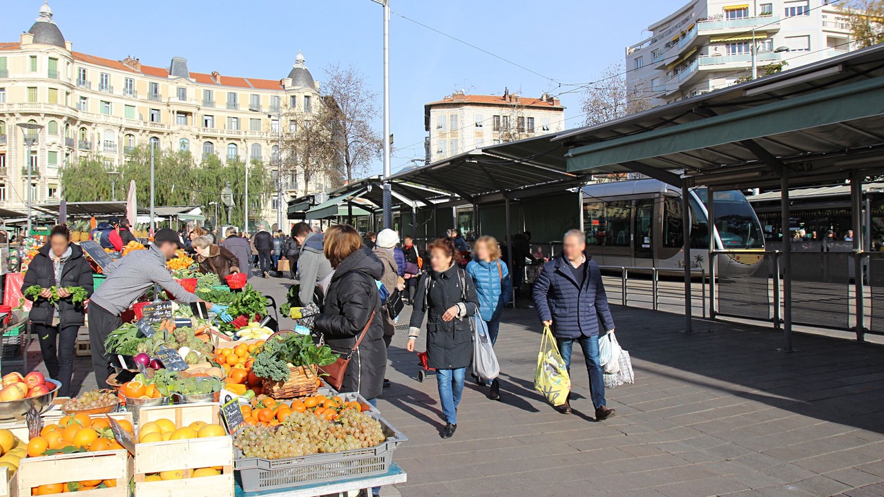 Photo of Others in Vernier
